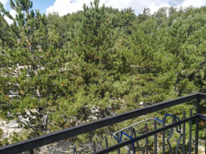 Da Santina, Pieve Santo Stefano